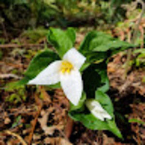 Meet your Posher, Bryce